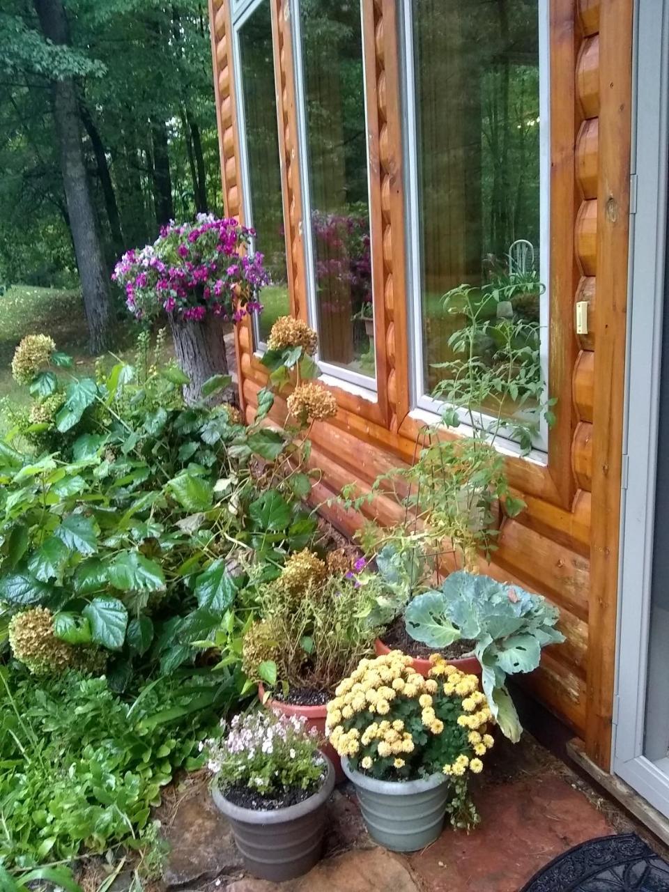 Bed And Breakfast Suite At The Wooded Retreat Pine City Εξωτερικό φωτογραφία